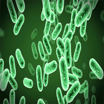 Determinação de Alicyclobacillus Acidoterrestris