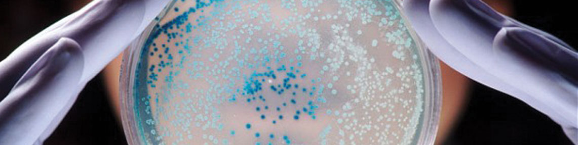 Teste Básico de Atividade Bactericida de Desinfetantes e Anti-sépticos