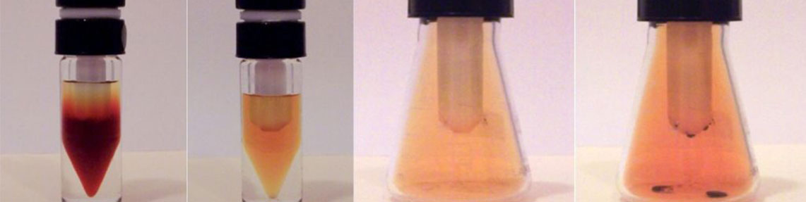 Determinación de la materia disoluble en diclorometano