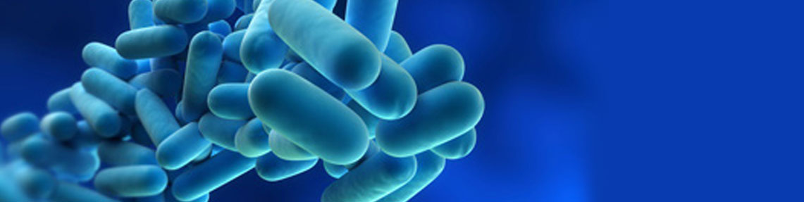 E. coli O157: Bestimmung von H7