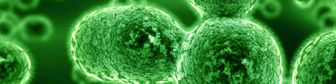 Enterobacteriaceae Count (Schnelltest)