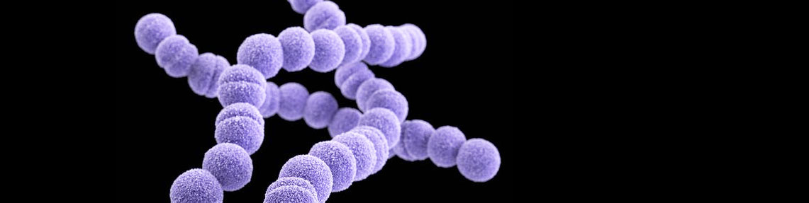 Κόπρος στρεπτόκοκκου (Enterococcus) Count