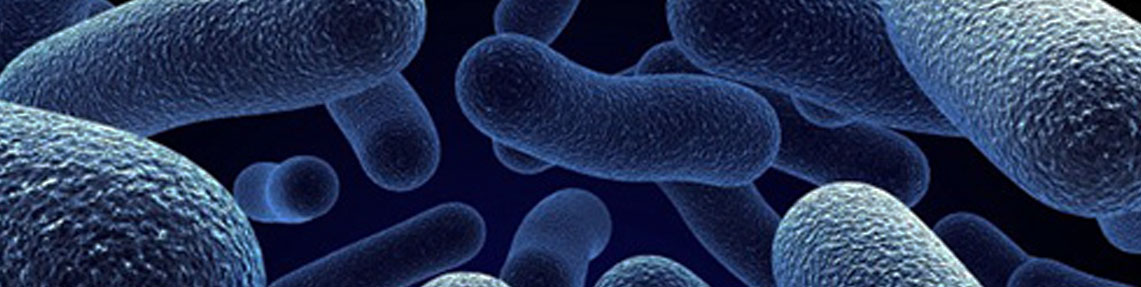 Contagem de bactérias coliformes (teste rápido)
