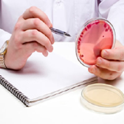 Conteggio dei batteri coliformi (test rapido)