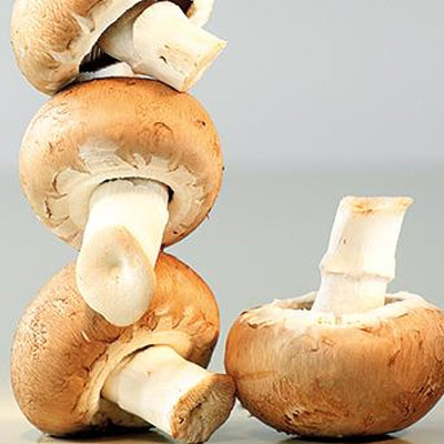 Определение количества грибов
