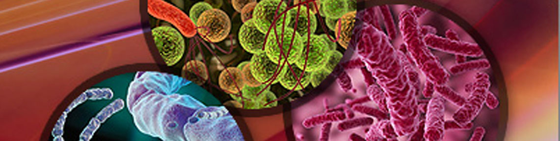 Staphylococcal Enterotoksin (A, B, C, D, E) Analizi (Tüm Gıdalarda) (Real Time-PCR)