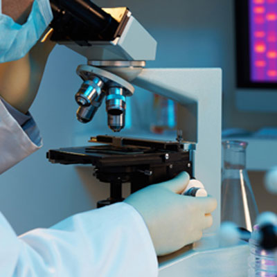 Termotolerant Campylobacter Aranması (Klasik Yöntem)