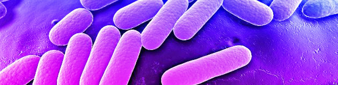 Recuento total de bacterias mesófilas aeróbicas