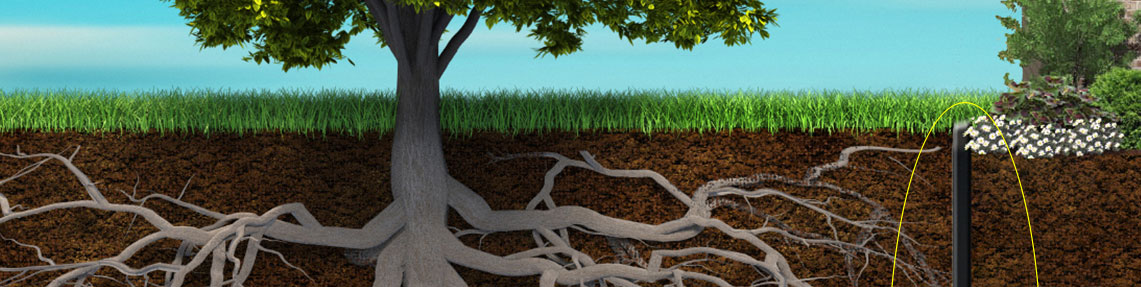Тесты на устойчивость к корням растений