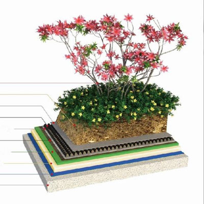 Plant Root Resistance Tests