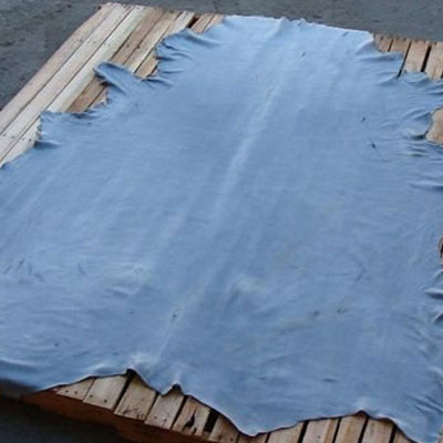 Prueba de la resistencia de los productos de cuero (azul húmedo) al moho