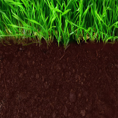 土壤和污水污泥测量