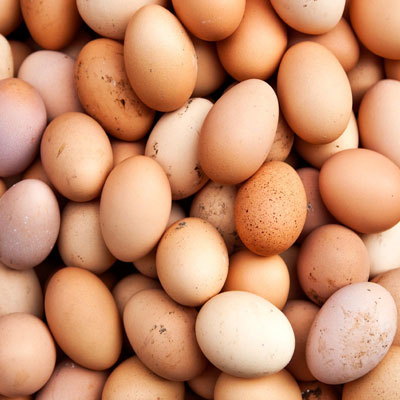 Yumurtada Hava Boşluğu Tayini (Her 10 Yumurta İçin)